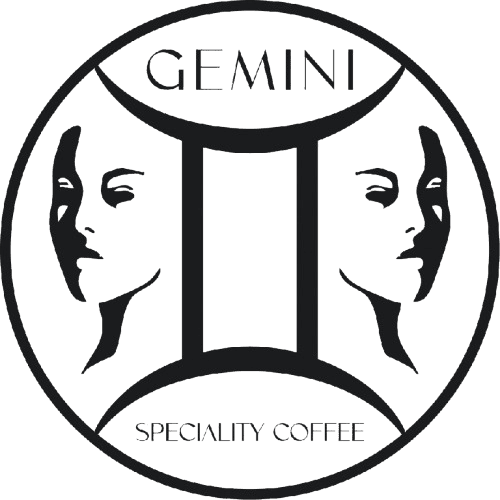 GEMINI Logo